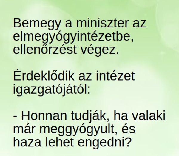 VICC: Bemegy a miniszter az elmegyógyintézetbe