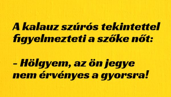 VICC: A kalauz szúrós tekintettel figyelmezteti a szőke nőt: