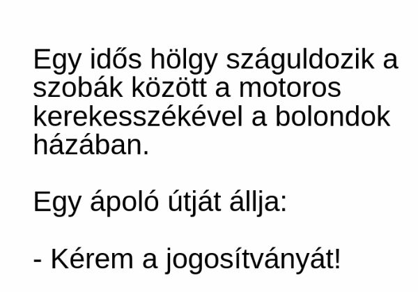VICC: Egy idős hölgy száguldozik a szobák között a motoros kerekesszékével a bolondok házában