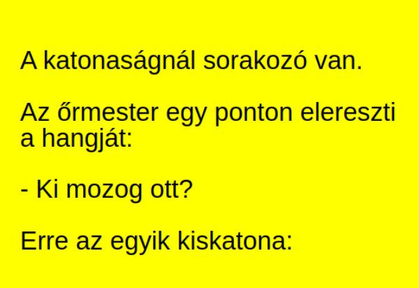 VICC: A katonaságnál sorakozó van.  Az őrmester egy ponton elereszti a hangját: