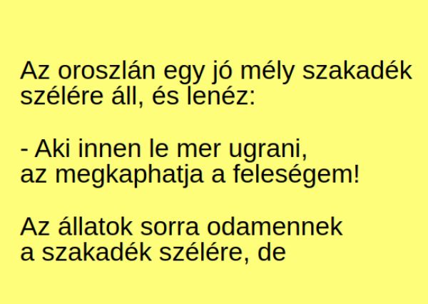 VICC: Az oroszlán egy jó mély szakadék  szélére áll, és lenéz: