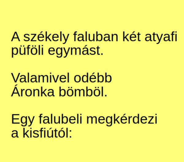 VICC: A székely faluban két atyafi püföli egymást