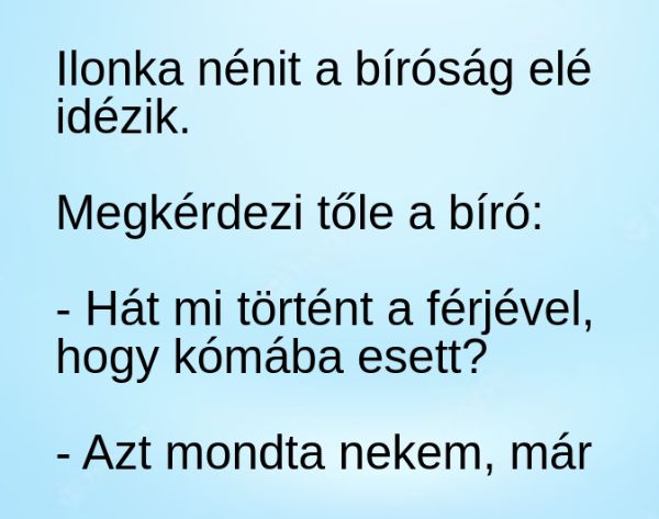 VICC: Ilonka nénit a bíróság elé idézik.
