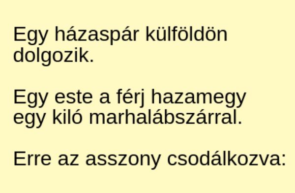 VICC: Egy házaspár külföldön dolgozik.