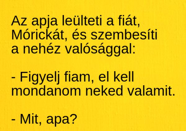 VICC: Az apja leülteti Mórickát, és szembesíti a nehéz valósággal: