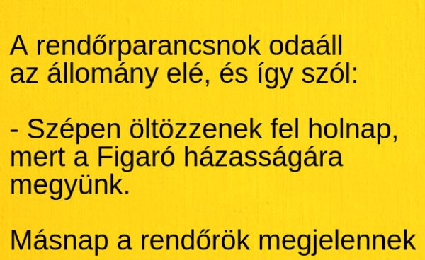 VICC: A rendőrparancsnok odaáll az állomány elé, és így szól: