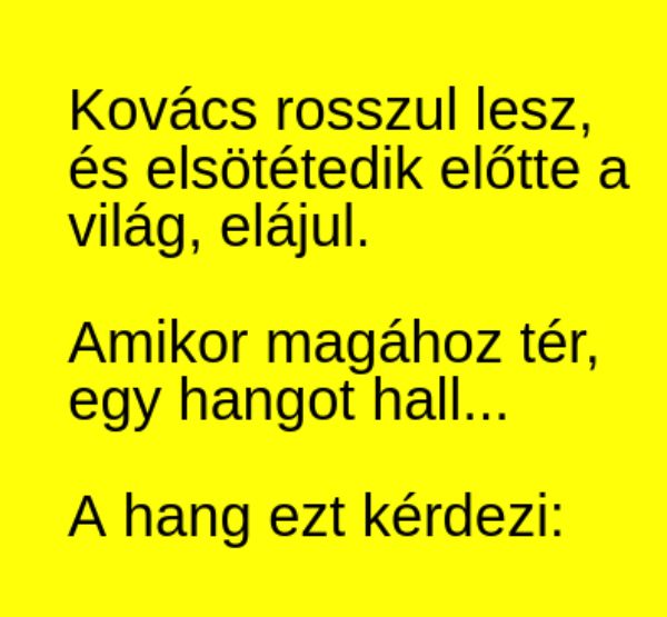 VICC: Kovács rosszul lesz, és elsötétedik előtte a világ, elájul. Amikor magához tér