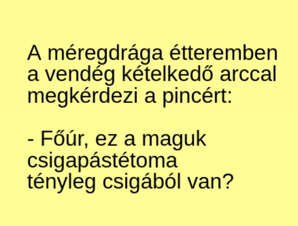 VICC: A méregdrága étteremben a vendég kételkedő arccal megkérdezi a pincért: