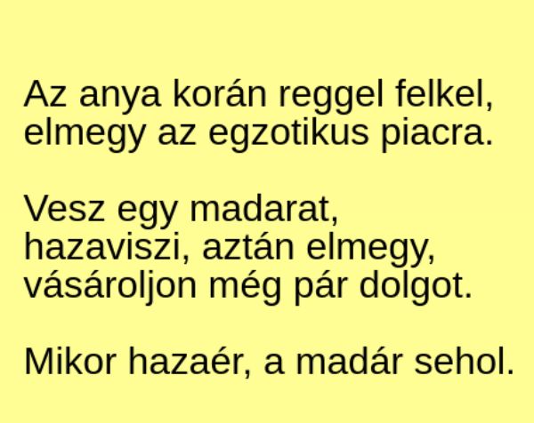 VICC: Az anya korán reggel felkel, elmegy az egzotikus piacra