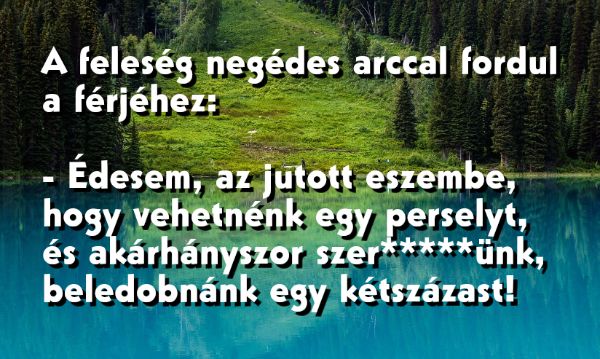 VICC: A feleség negédes arccal fordul a férjéhez:  Vehetnénk egy perselyt, és beledobnánk egy kétszázast, akárhányszor csak …