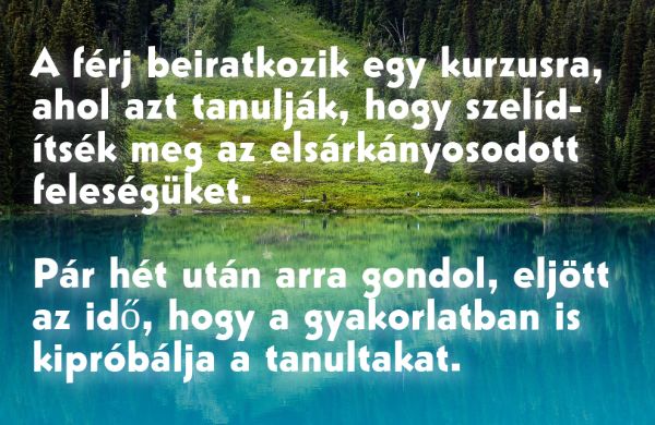 VICC: A férj beiratkozik egy tanfolyamra, ahol azt tanulják, hogy szelídítsék meg az elsárkányosodott feleségüket.