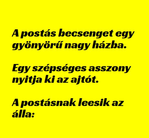 VICC: A postás becsenget egy gyönyörű nagy házba. Egy szépséges asszony nyitja ki az ajtót.