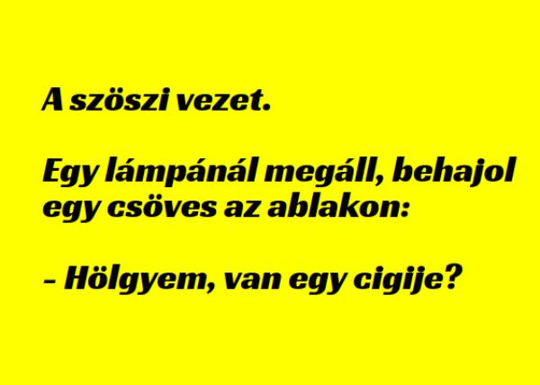 VICC: A szöszi vezet. Egy lámpánál megáll, behajol egy csöves az ablakon: