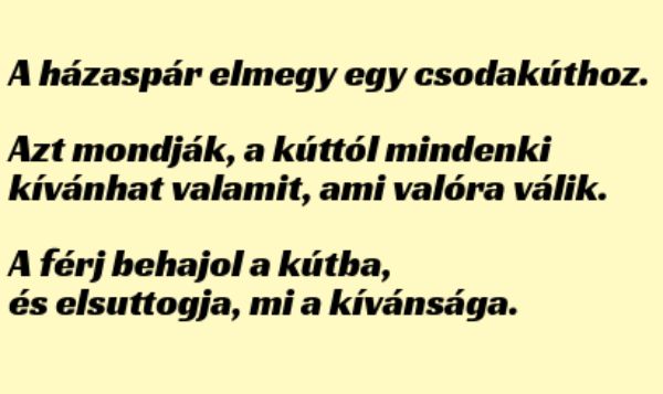 VICC: Egy csodakúttól mindenki kívánhat valamit, ami valóra válik. Elmegy egy házaspár a kúthoz.