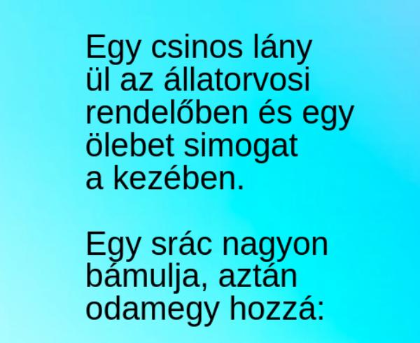 VICC: Egy csinos lány ül az állatorvosi rendelőben és egy ölebet simogat