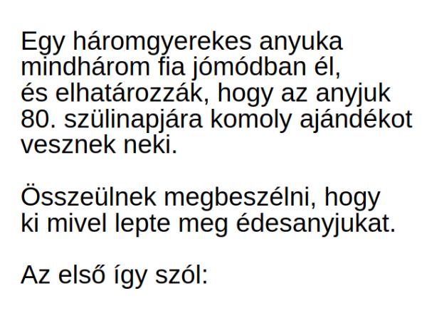 VICC: Egy háromgyerekes anyuka három fia elhatározza, hogy az anyjuk 80. szülinapjára komoly ajándékot vesznek neki.