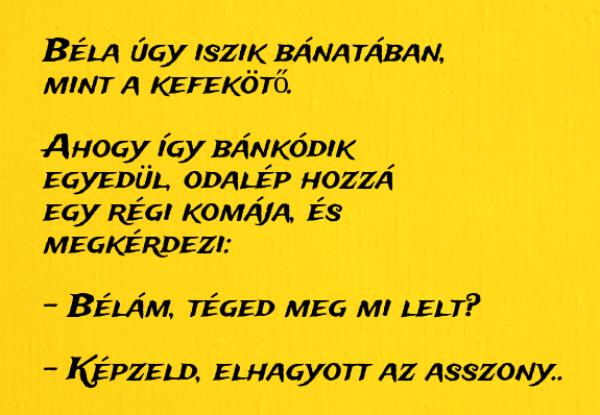 VICC: Béla úgy iszik bánatában, mint a kefekötő. Odalép hozzá egy régi komája, és megkérdezi: