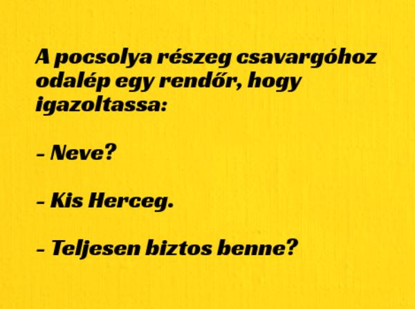 VICC: A pocsolya részeg csavargóhoz odalép egy rendőr, hogy igazoltassa: