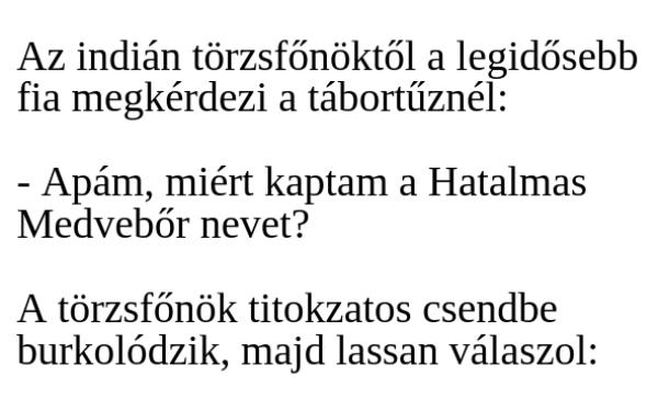 VICC: Az indián törzsfőnöktől a legidősebb fia megkérdezi a tábortűznél: