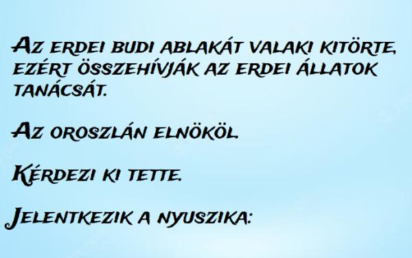 VICC: Az erdei budi ablakát valaki kitörte, ezért összehívják az erdei állatok tanácsát. Az oroszlán elnököl.