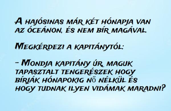 VICC: A hajósinas már két hónapja van az óceánon, és nem bír