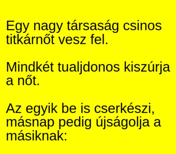 VICC: Egy nagy társaság csinos titkárnőt vesz fel