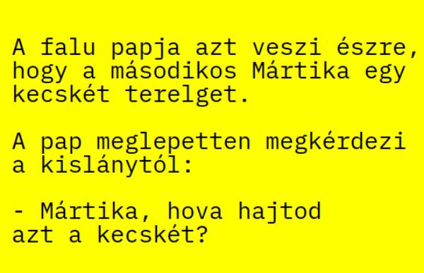 VICC: A falu papja azt veszi észre, hogy a másodikos Mártika egy kecskét terelget.