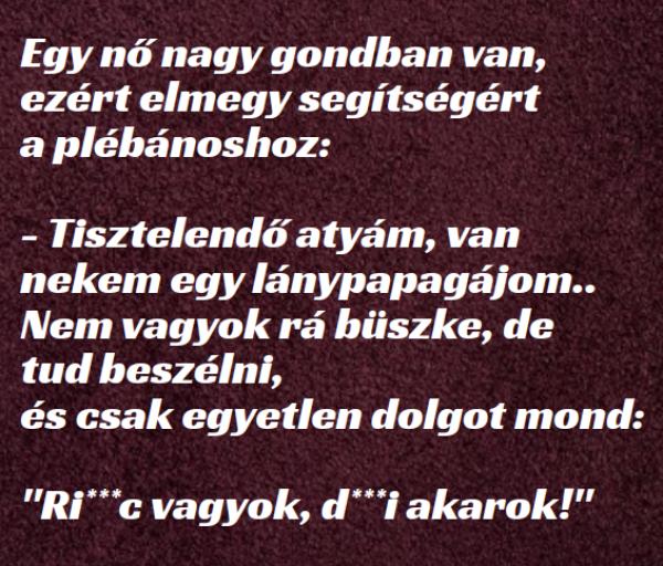 VICC: Egy nő nagy gondban van,  ezért elmegy segítségért a plébánoshoz: