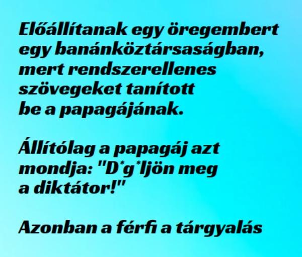 VICC: Előállítanak egy öregembert, mert rendszerellenes szövegeket tanított be a papagájának