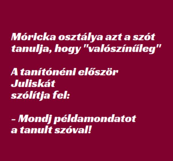 VICC: Móricka osztálya azt a szót tanulja, hogy ‘valószínűleg’