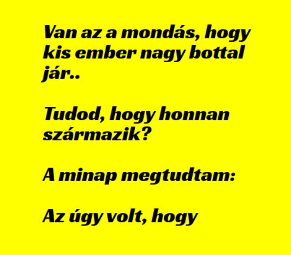 VICC: Van az a mondás, hogy kis ember