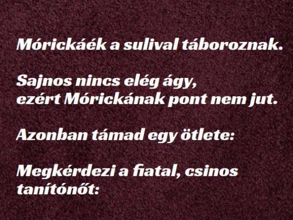 VICC: Mórickáék a sulival táboroznak. Mórickának pont nem jut