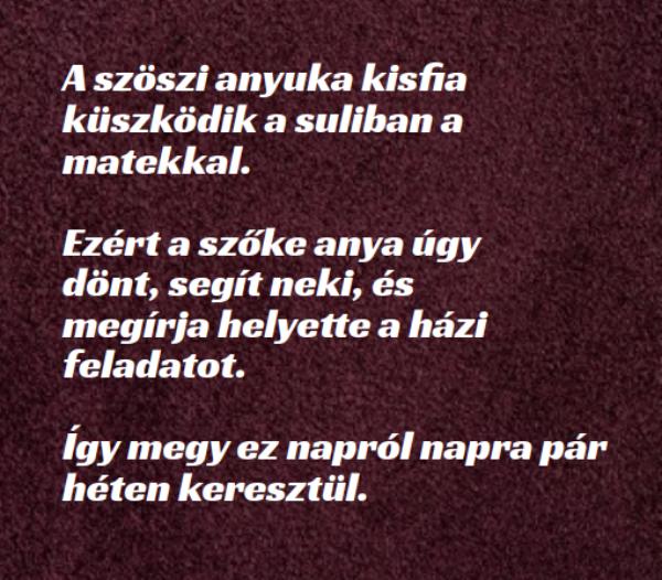 VICC: A szöszi anyuka kisfia küszködik a suliban a matekkal