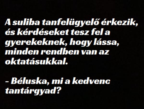 VICC: A suliba tanfelügyelő érkezik, és kérdéseket tesz fel a gyerekeknek, hogy lássa, minden rendben van az oktatásukkal.