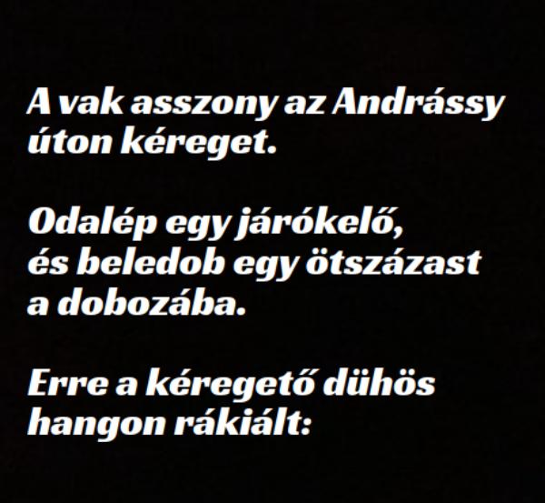 VICC: A vak asszony az Andrássy úton kéreget. Odalép egy járókelő