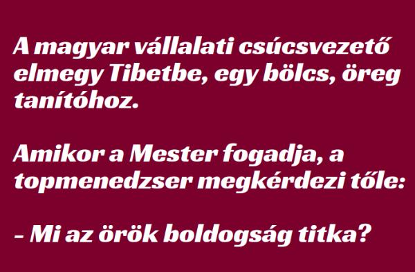 VICC: A magyar vállalati csúcsvezető elmegy Tibetbe, egy bölcs, öreg tanítóhoz.