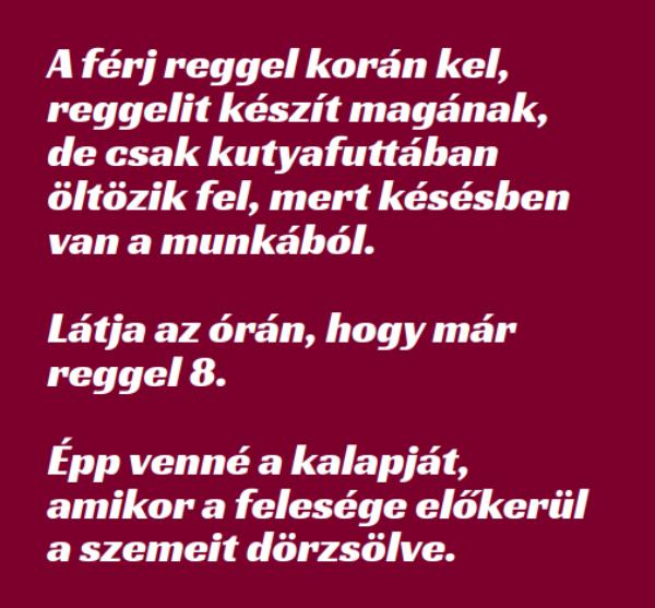 VICC: A férj reggel korán kel, reggelit készít magának, de csak kutyafuttában öltözik fel, mert késésben van a munkából