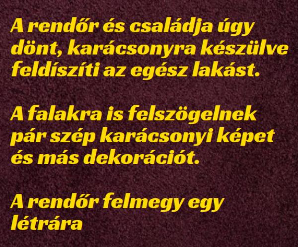 VICC: A rendőr karácsonyra készülve feldíszíti az egész lakást