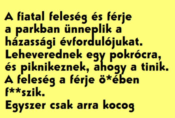 VICC: A fiatal feleség és férje a parkban ünneplik a házassági évfordulójukat.