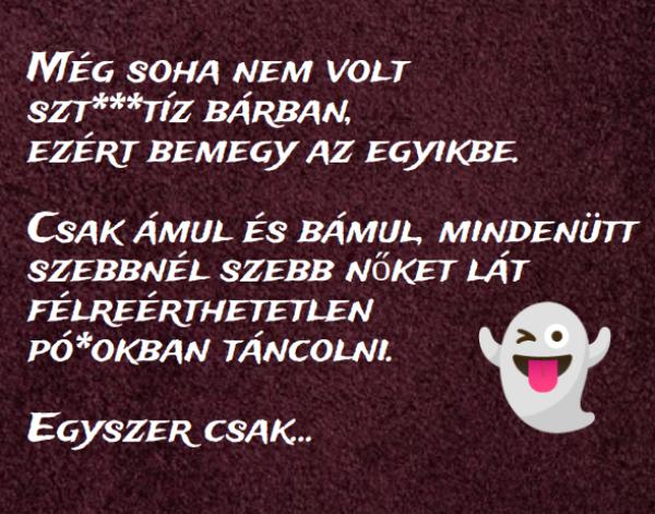 A székely üzleti útra  megy Hollandiába, és bemegy egy szt***tíz bárba