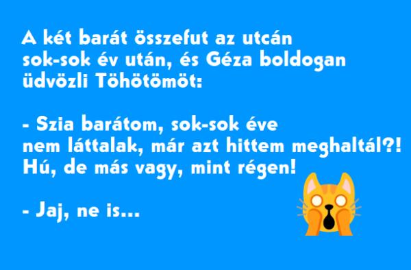 VICC: Géza és Töhötöm, két barát sok-sok év után találkozik. Töhötöm teljesen megváltozott