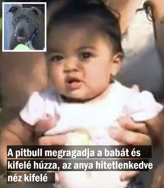 Pillanatok leforgása alatt rémisztő helyzetbe került a kislány és anyukája: