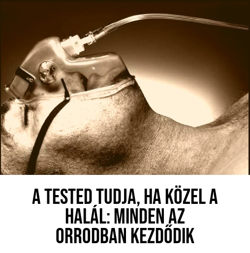 Minden az orrban kezdődik el 😮👇