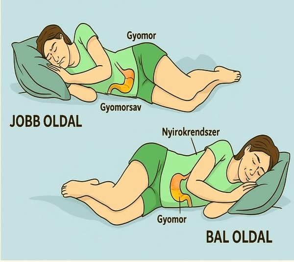 Ezt teszi a bal oldalon alvás az agyaddal, a nyirokrendszereddel és az emésztéseddel
