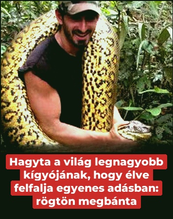 Hagyta a világ legnagyobb kígyójának, hogy élve felfalja egyenes adásban: rögtön megbánta