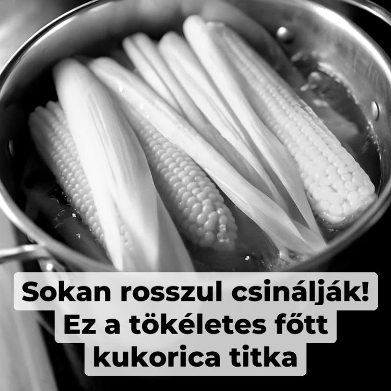 Sokan rosszul csinálják! Ez a tökéletes főtt kukorica titka