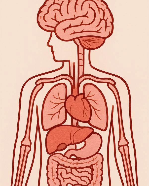Ezek a jelek megmutatják, hogy alacsony érzelmi intelligenciájú személlyel van dolgod. Az 5. igazán meglepett