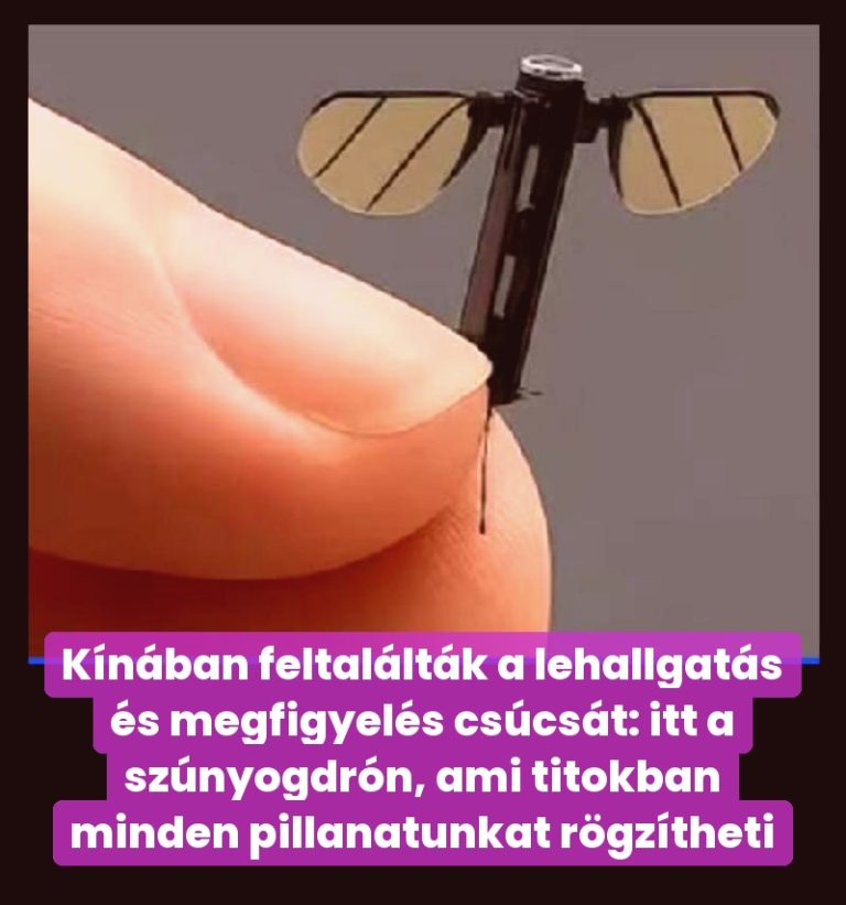 Kínában feltalálták a lehallgatás és megfigyelés csúcsát: itt a szúnyogdrón, ami titokban minden pillanatunkat rögzítheti