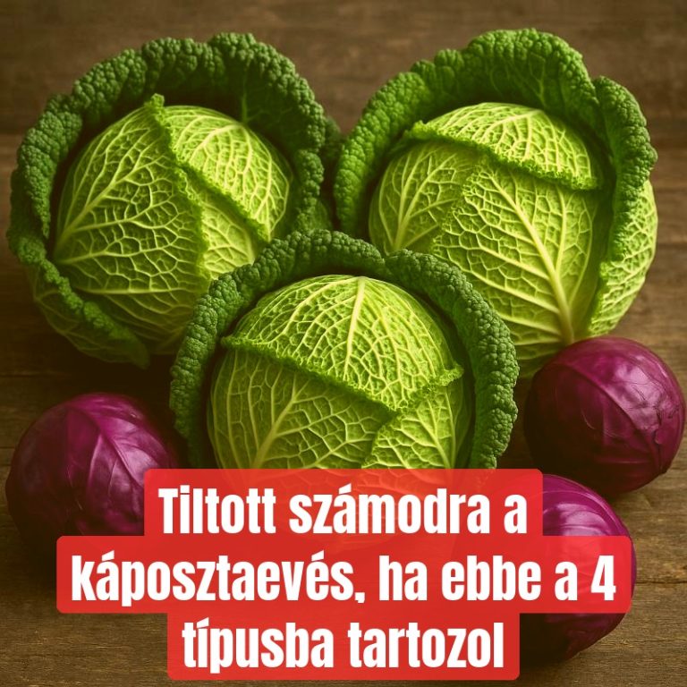 Tiltott számodra a káposztaevés, ha ebbe a 4 típusba tartozol