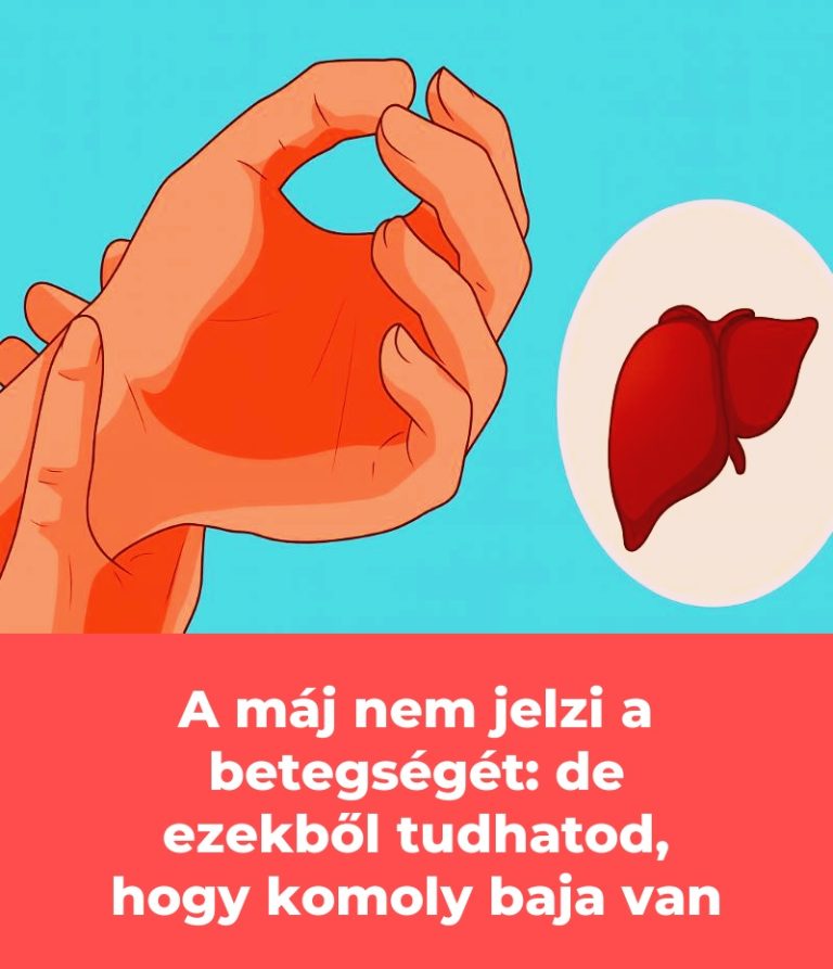 A máj nem jelzi a betegségét: de ezekből tudhatod, hogy komoly baja van